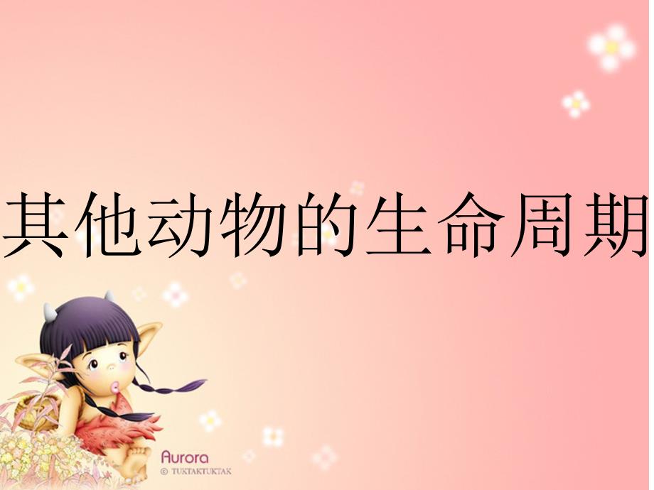 其他动物的生命周期.ppt_第2页