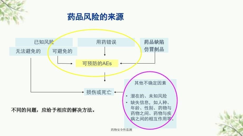 药物安全性监测课件_第5页