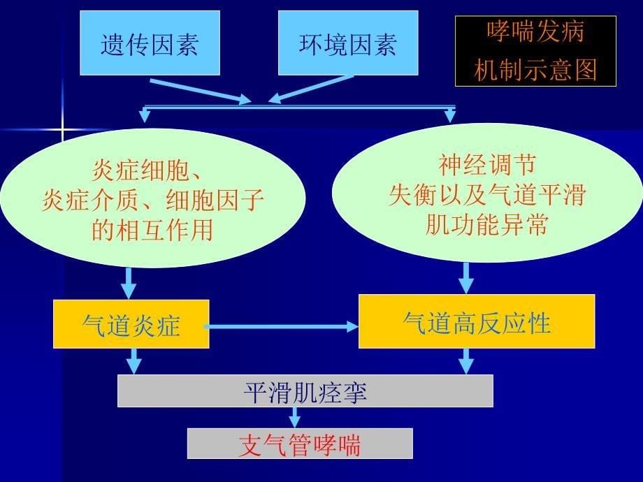 最新呼吸系统疾病的临床用药PPT文档_第5页