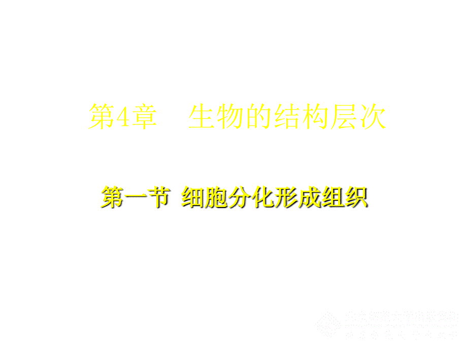 41细胞分化形成组织1_第1页