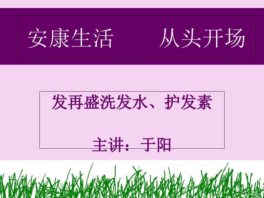 太阳神发再盛研究报告ppt课件_第1页