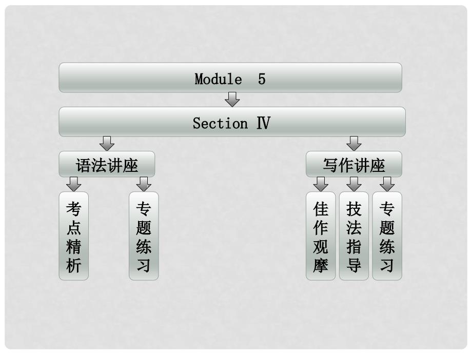 高中英语 Module5 Section Ⅳ Grammar &amp; Writing课件 外研版必修2_第1页