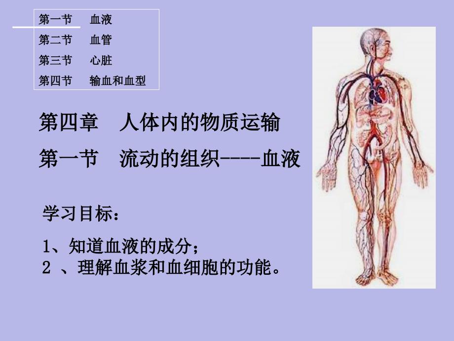 41流动的组织--血液_人教版_七年级下册生物_课件_第1页