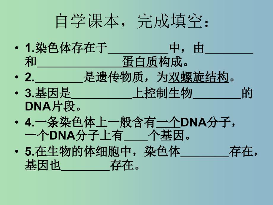 八年级生物下册 7.2.2 基因在亲子代间的传递课件 新人教版.ppt_第4页