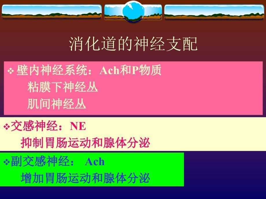 生理学消化系统_第5页