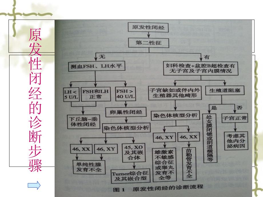 《中医妇科闭经》PPT课件_第3页