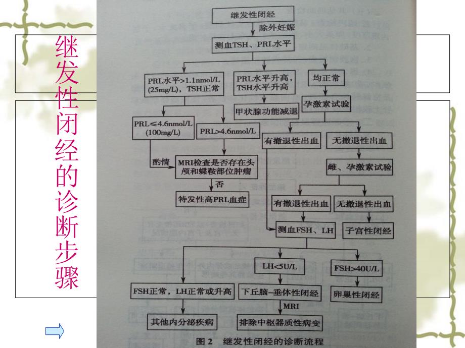 《中医妇科闭经》PPT课件_第4页