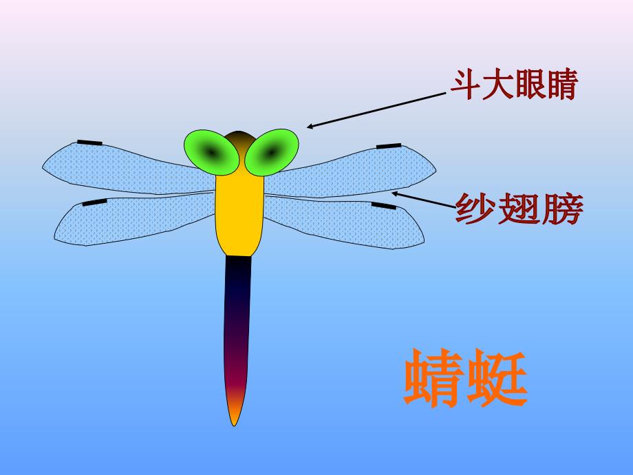 人教版美术上蜻蜓飞飞PPT课件2_第4页