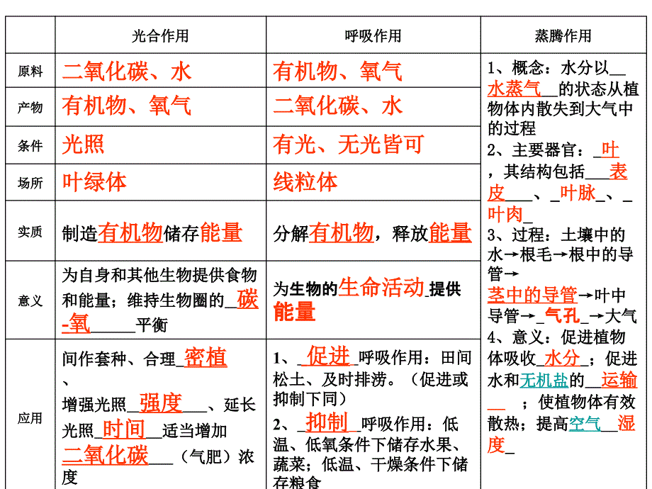 植物的三大作用复习教学资料_第2页