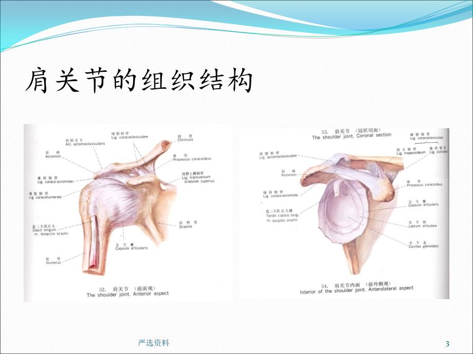 肩周炎的康复护理（行业荟萃）_第3页