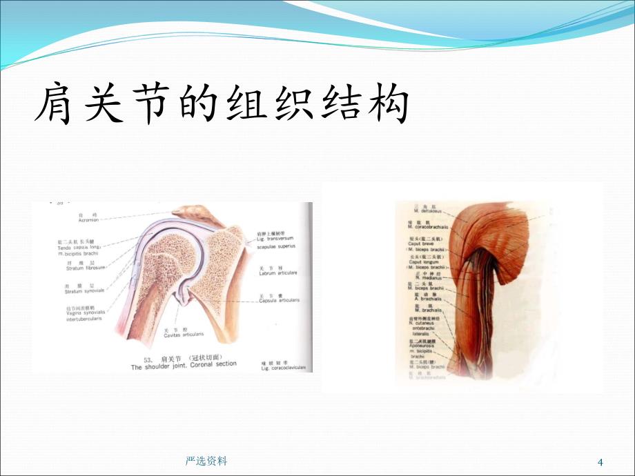 肩周炎的康复护理（行业荟萃）_第4页