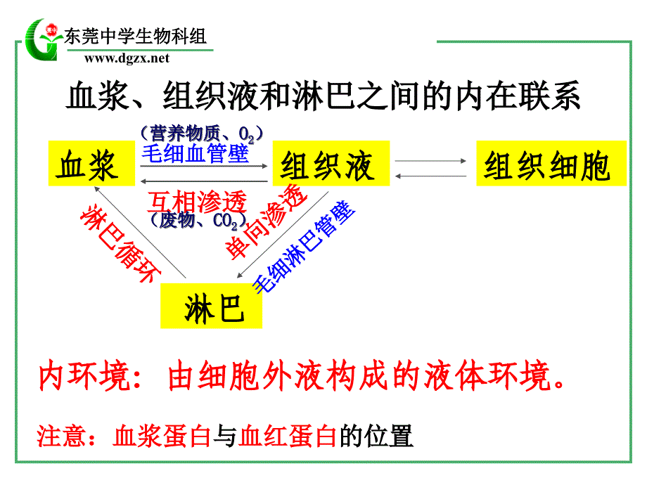 第一部分人体的内环境与稳态_第4页