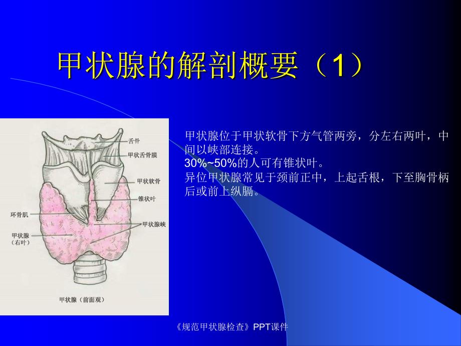 规范甲状腺检查课件_第3页