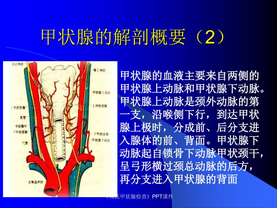 规范甲状腺检查课件_第4页