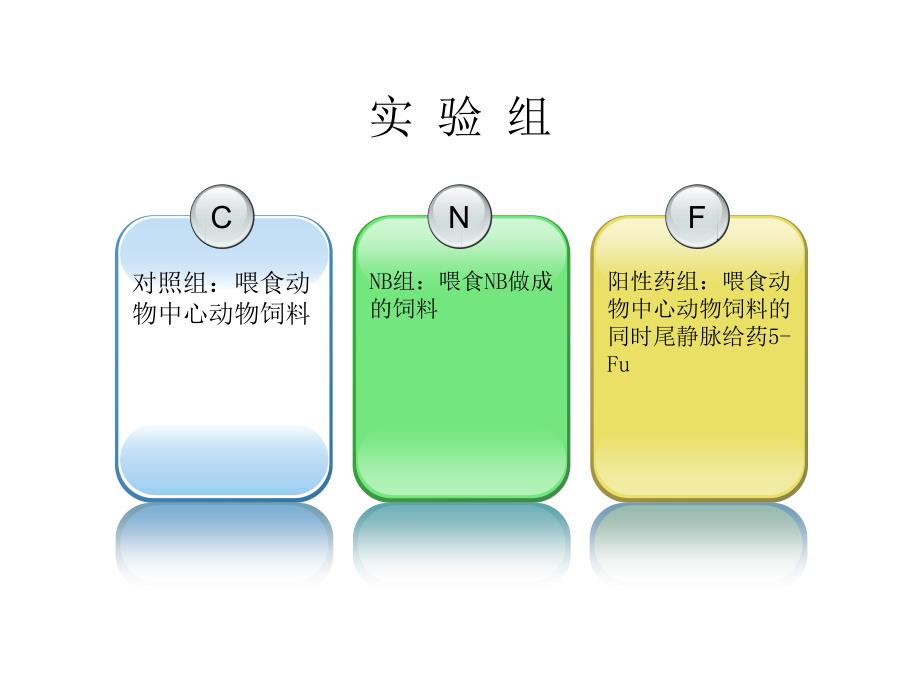 怎样抑制肿瘤PPT课件_第4页