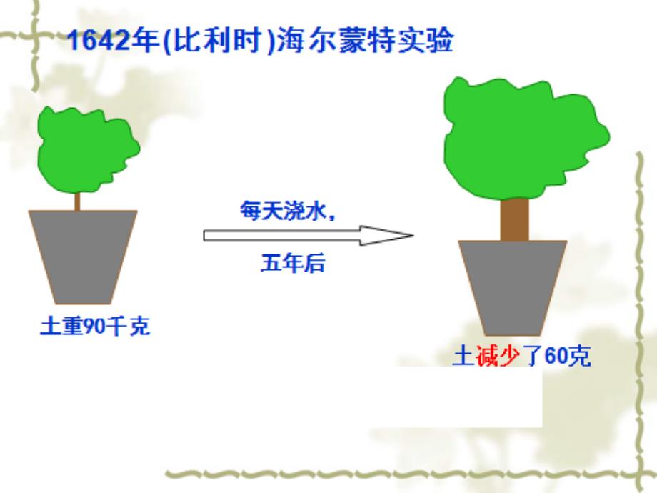 优质课定稿植物需要水和无机盐_第1页