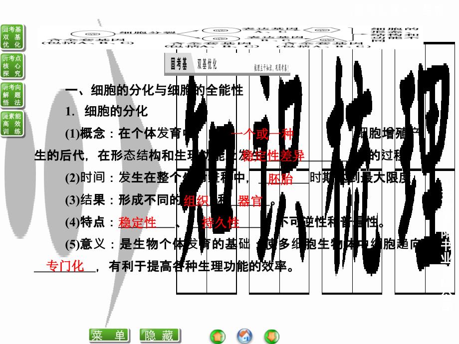 细胞的分化、衰老、凋亡及癌变_第2页