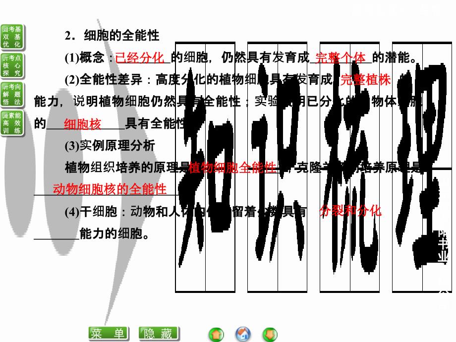 细胞的分化、衰老、凋亡及癌变_第4页