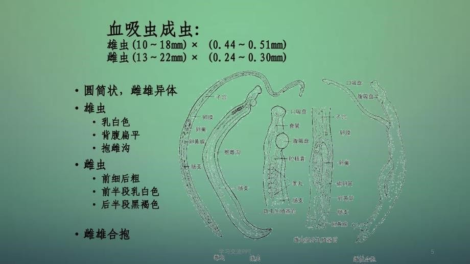 急性血吸虫病诊断培训ppt课件_第5页