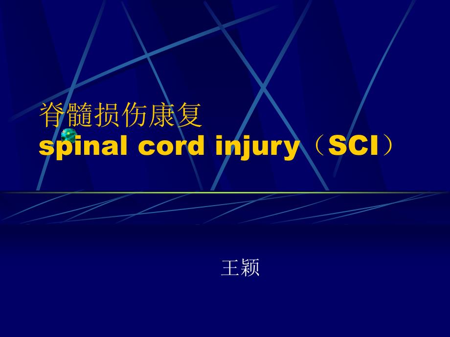 脊髓损伤康复spinal cord injury(SCI)_第1页