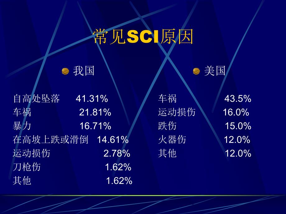 脊髓损伤康复spinal cord injury(SCI)_第3页