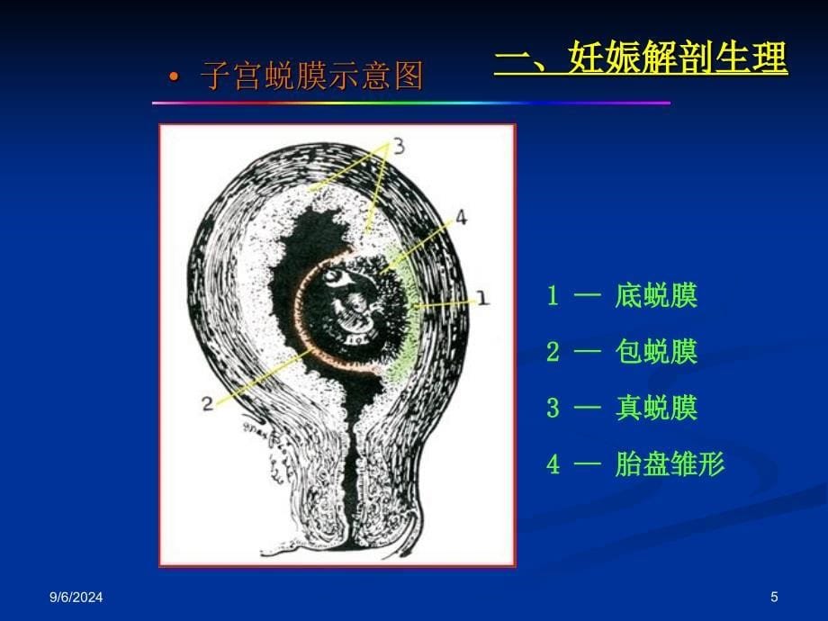 产科超声诊断PPT文档_第5页