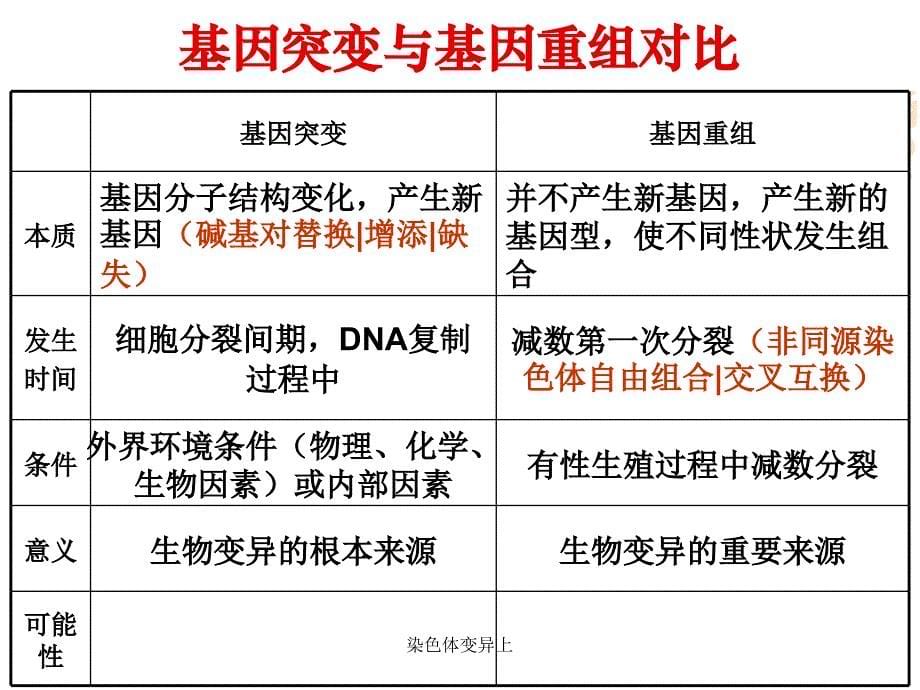 染色体变异上课件_第5页