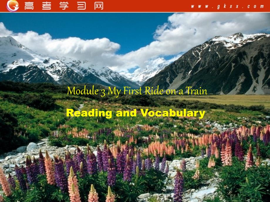 Module 3《My First Ride on a Train》Reading,Vocabulary课件7（19张PPT）（外研版必修1）_第1页