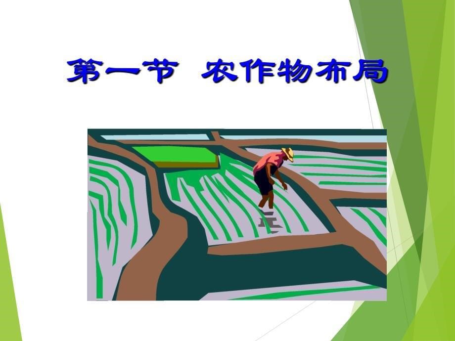 种植制度耕作制度PPT_第5页