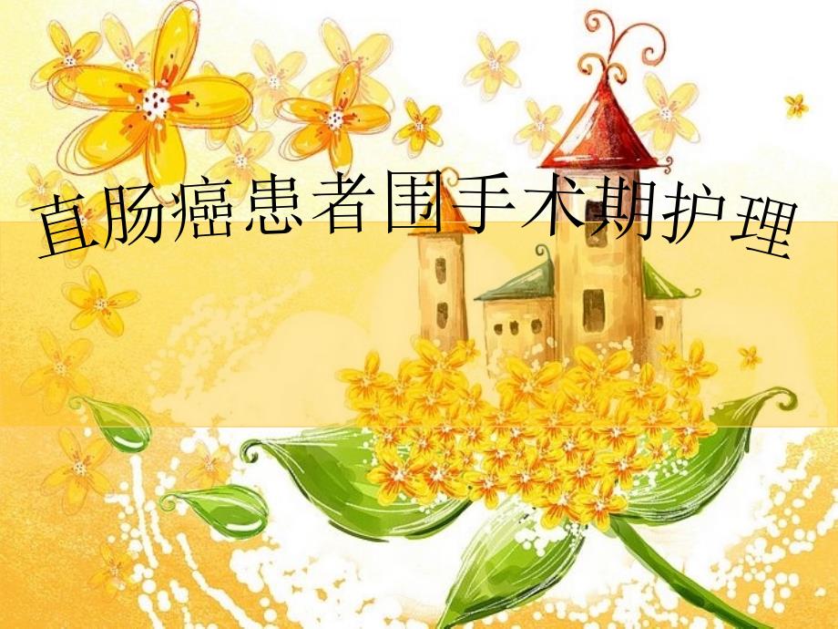 直肠癌围手术期护理_第1页