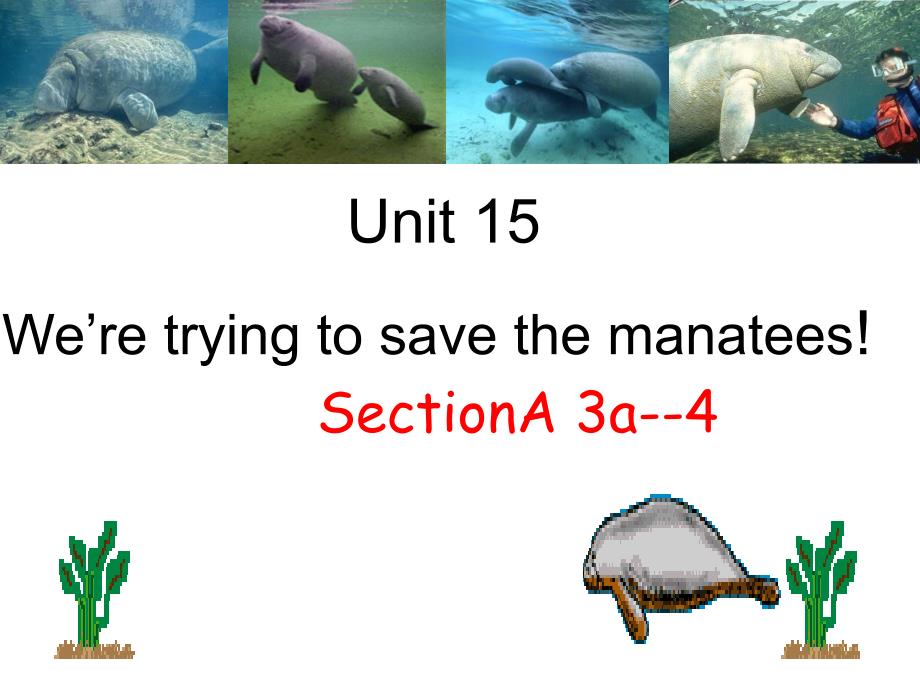 人教版新目标初中英语九年级　Unit 15《 We&#39;re trying to save the manateese!》精品课件_第1页