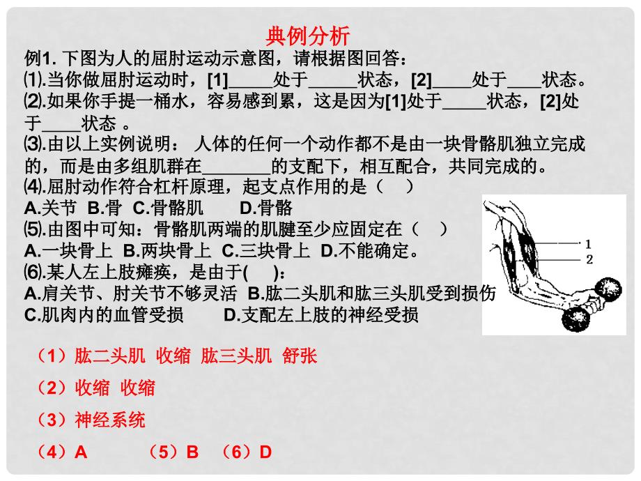 八年级生物上册 5.2动物的运动和行为复习课件 （新版）新人教版_第4页