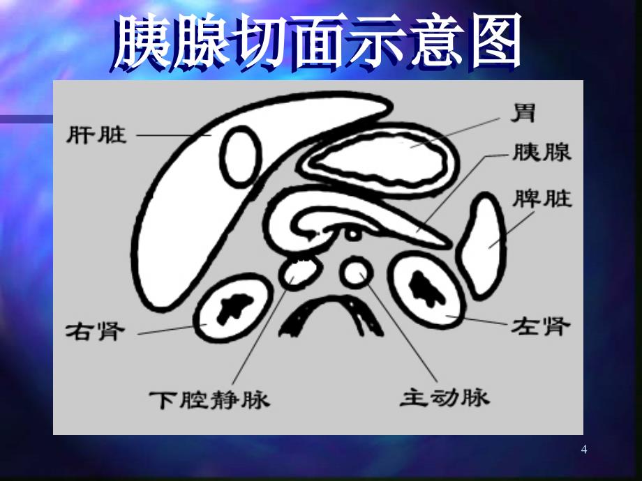 胰腺超声诊断概论_第4页