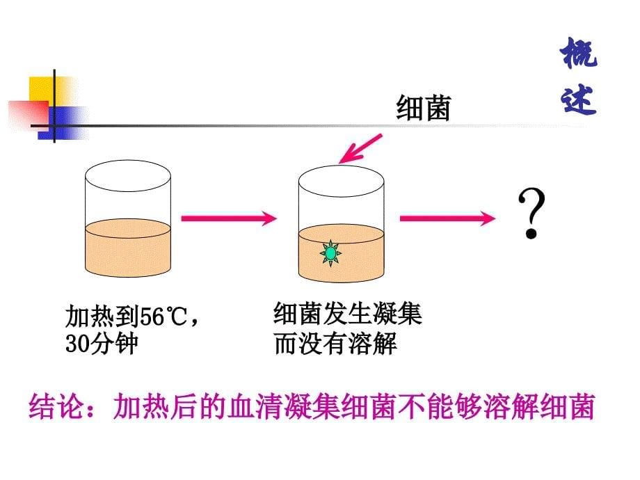 《补体金伯泉》PPT课件_第5页