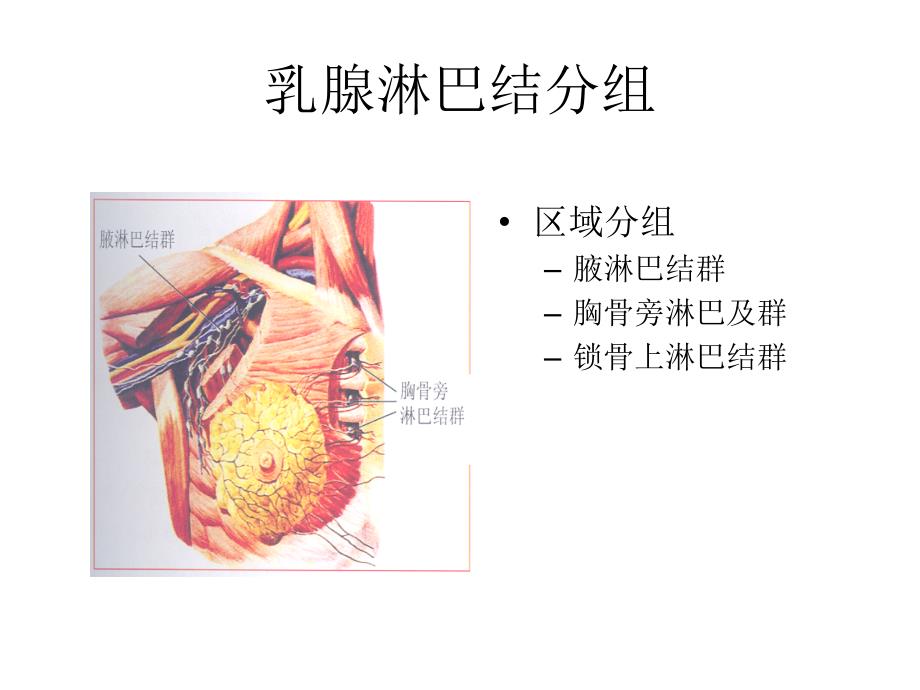 乳癌放射治疗靶区勾画_第4页