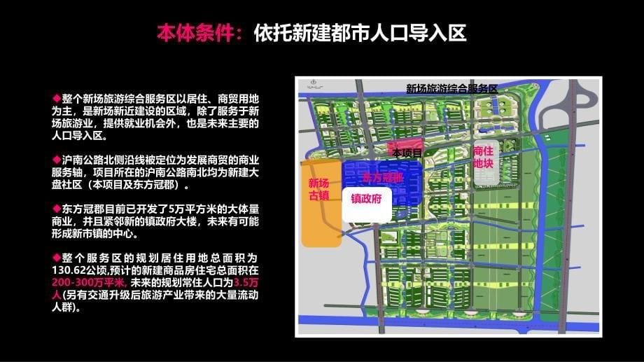 上海市徐房集团南汇新场项目商业产品规划定位与发展策略课件_第5页