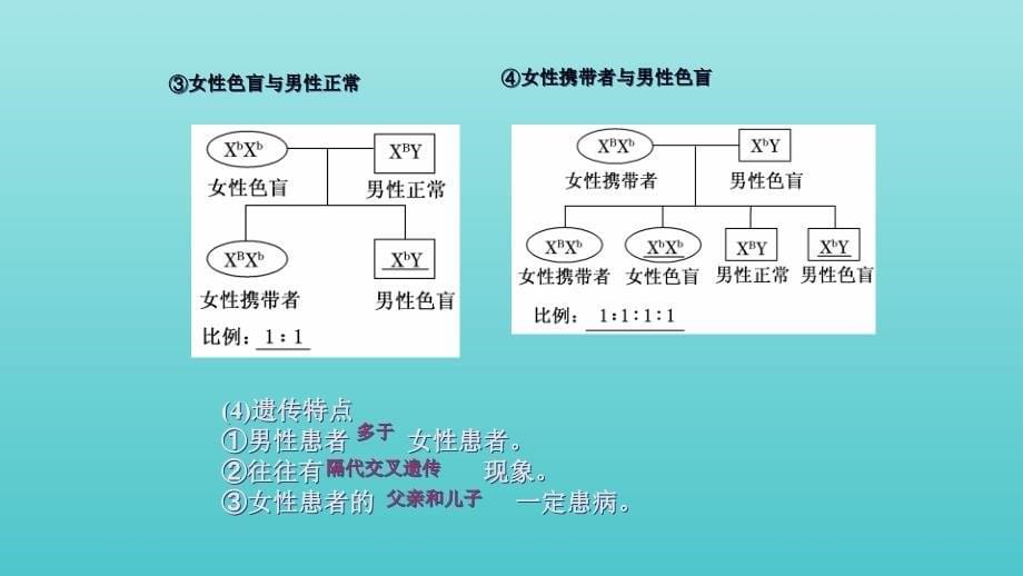 高中生物第2章第3节伴性遗传课件新人教版必修2_第5页