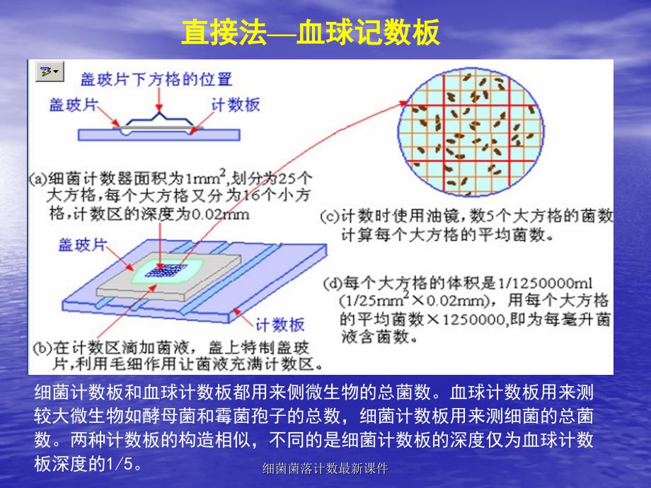 细菌菌落计数最新课件_第3页