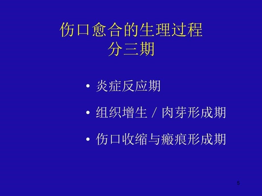 伤口愈合病生理ppt课件_第5页