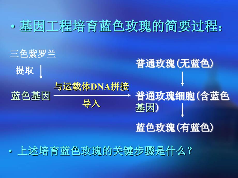 《基因工程的原理》PPT课件.ppt_第4页