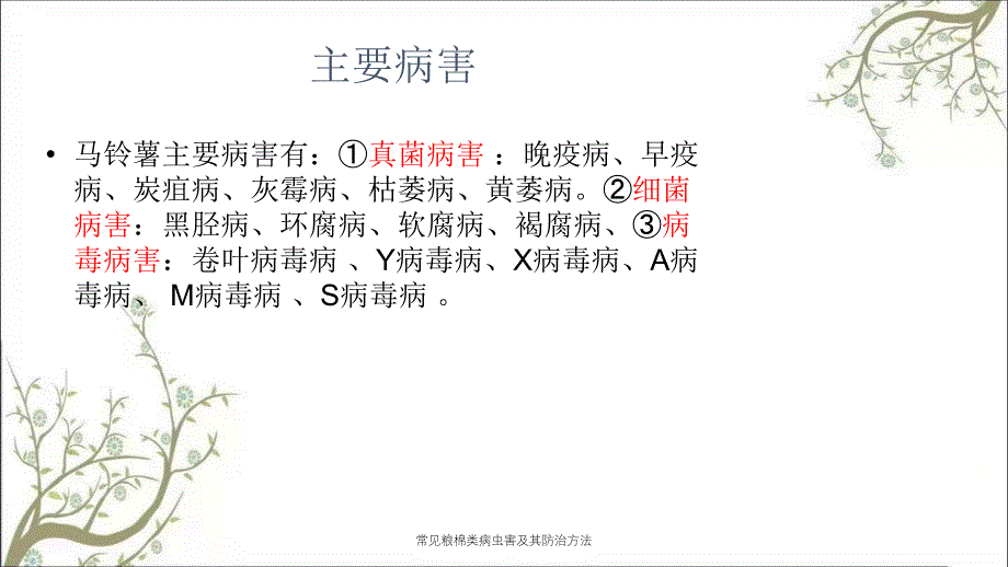 常见粮棉类病虫害及其防治方法课件_第2页