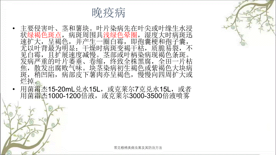 常见粮棉类病虫害及其防治方法课件_第3页