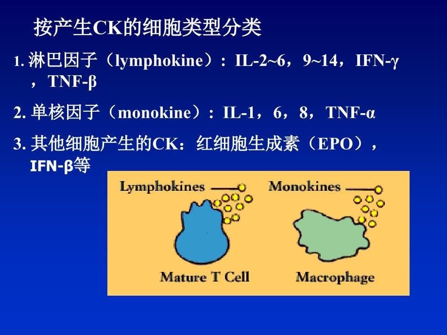 动物免疫学细胞因子PPT课件_第5页