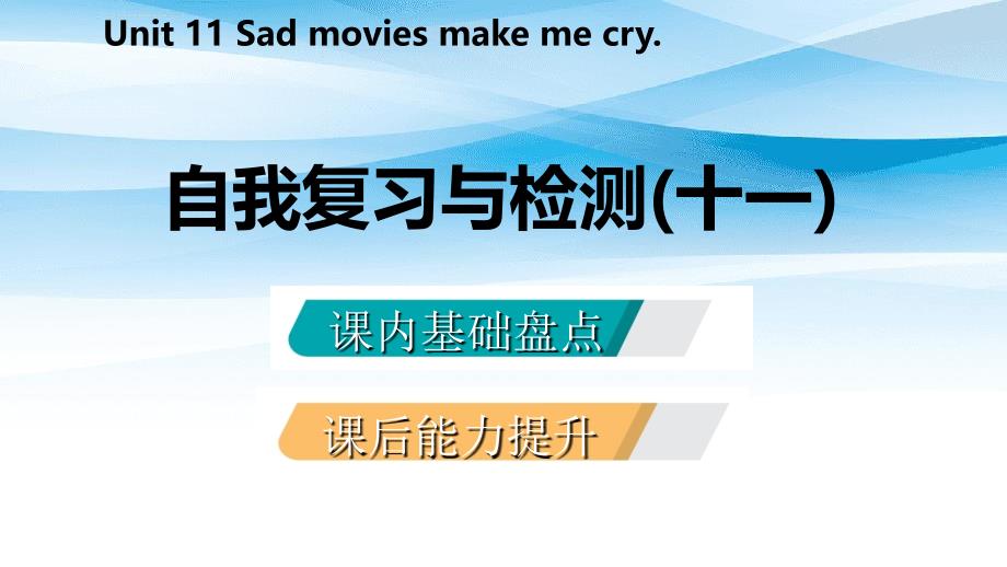 九年级英语全册Unit11Sadmoviesmakemecry自我复习与检测课件新版人教新目标版_第2页