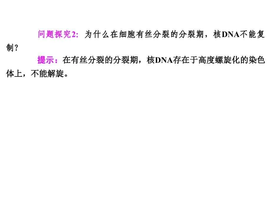 DNA分子的结构与复制、基因是的本质_第5页