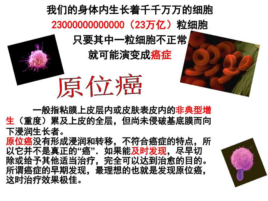 保险公司产品介绍金佑人生产品功能及形态介绍_第3页