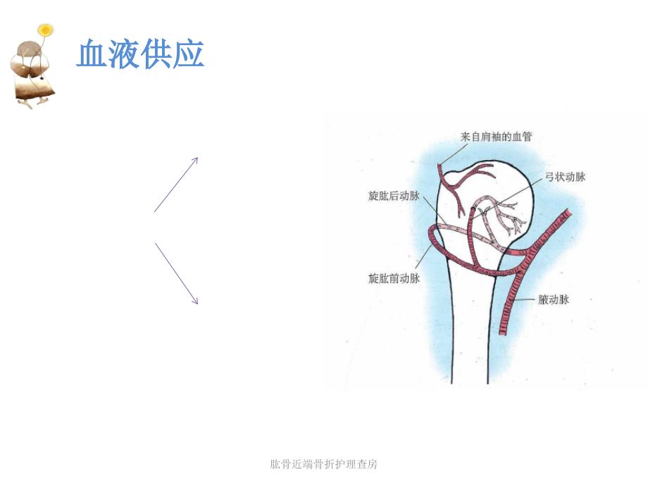 肱骨近端骨折护理查房课件_第4页