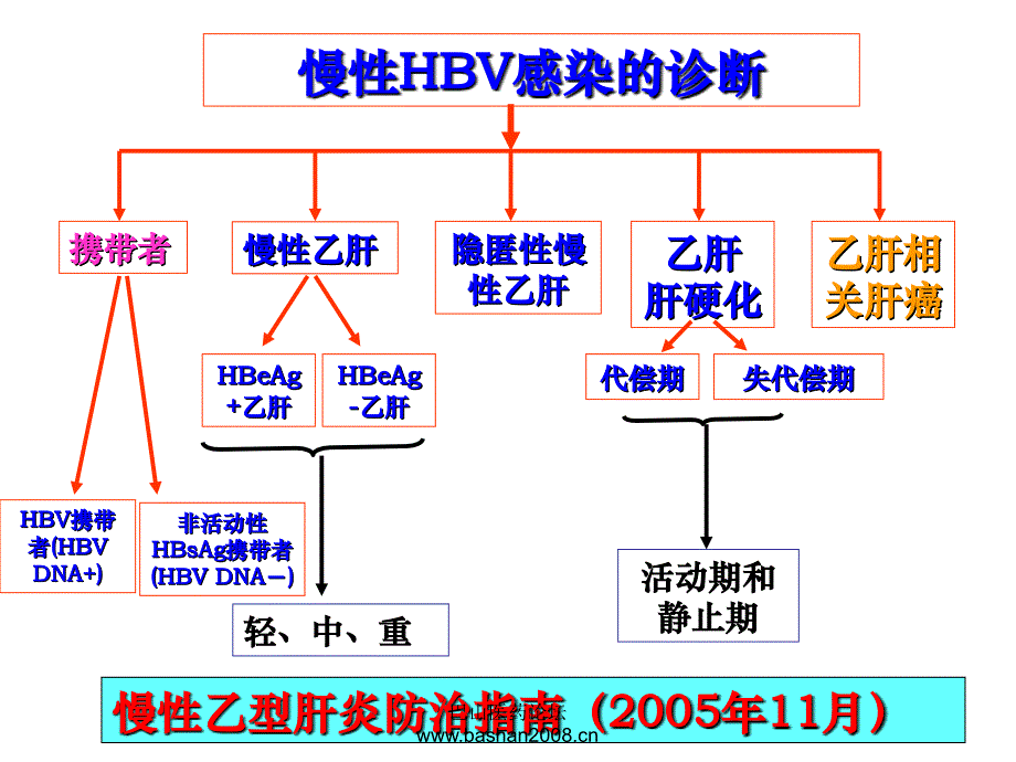 唐红教授：HBV DNA阳性 ALT正常的患者是否应该抗病毒治疗？_第4页