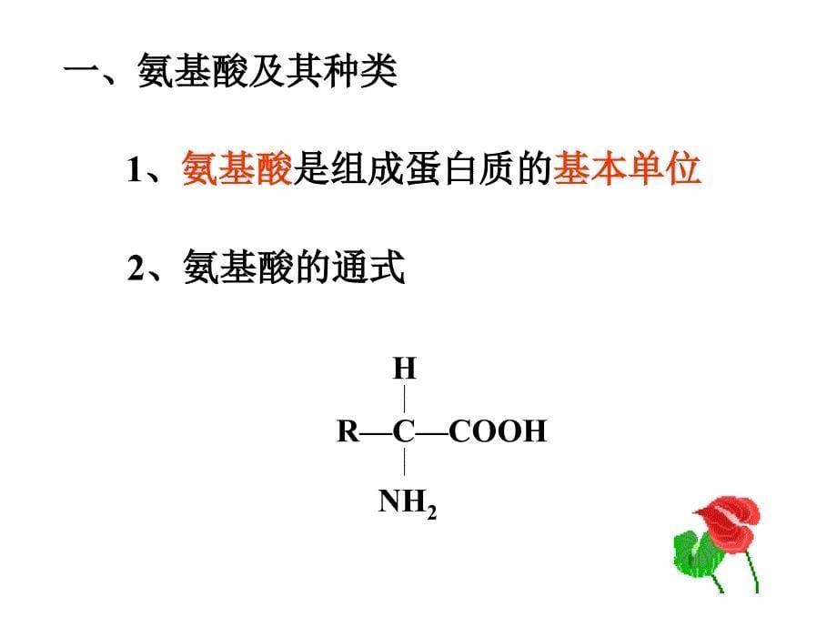 345生命活动的主要承担者_第5页