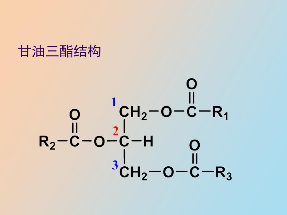 生物化学第八章脂类代谢_第4页